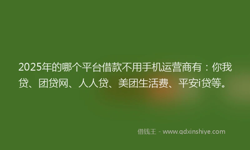 2025年的哪个平台借款不用手机运营商有：你我贷、团贷网、人人贷、美团生活费、平安i贷等。