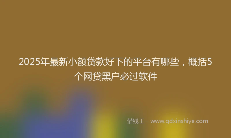 2025年最新小额贷款好下的平台有哪些，概括5个网贷黑户必过软件