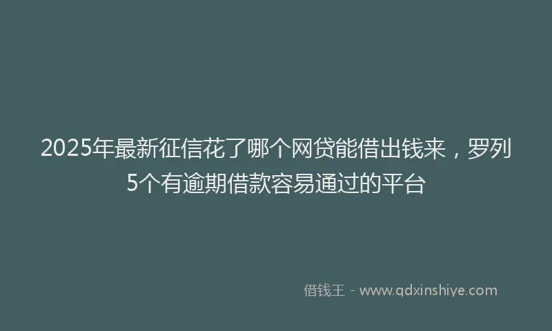 2025年最新征信花了哪个网贷能借出钱来，罗列5个有逾期借款容易通过的平台