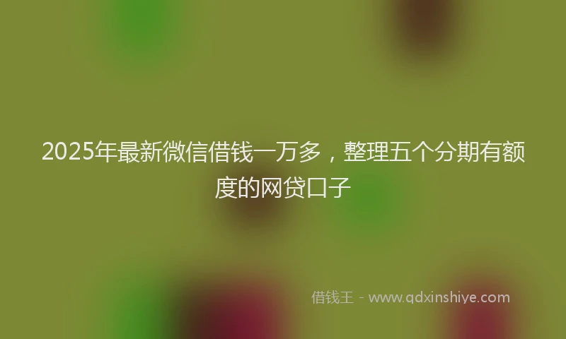 2025年最新微信借钱一万多，整理五个分期有额度的网贷口子