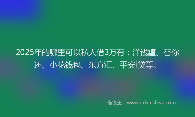 2025年的哪里可以私人借3万有：洋钱罐、替你还、小花钱包、东方汇、平安i贷等。