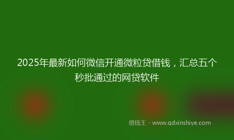 2025年最新如何微信开通微粒贷借钱，汇总五个秒批通过的网贷软件