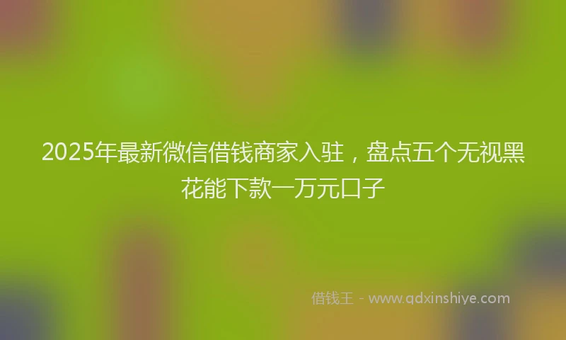 2025年最新微信借钱商家入驻，盘点五个无视黑花能下款一万元口子