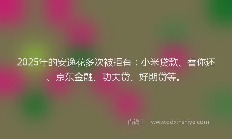 2025年的安逸花多次被拒有：小米贷款、替你还、京东金融、功夫贷、好期贷等。