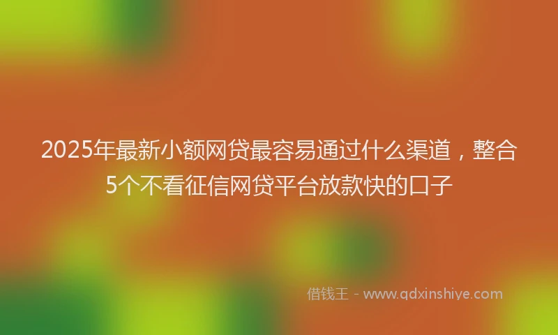 2025年最新小额网贷最容易通过什么渠道，整合5个不看征信网贷平台放款快的口子