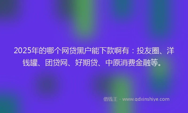 2025年的哪个网贷黑户能下款啊有：投友圈、洋钱罐、团贷网、好期贷、中原消费金融等。