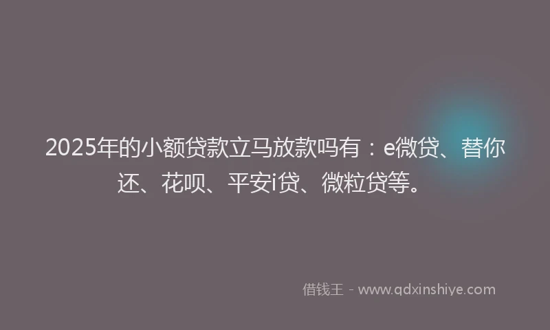2025年的小额贷款立马放款吗有：e微贷、替你还、花呗、平安i贷、微粒贷等。