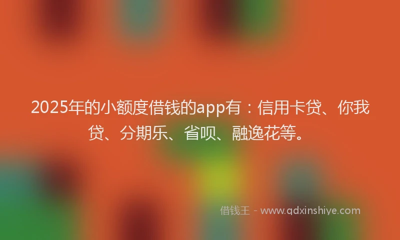 2025年的小额度借钱的app有：信用卡贷、你我贷、分期乐、省呗、融逸花等。
