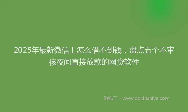 2025年最新微信上怎么借不到钱，盘点五个不审核夜间直接放款的网贷软件