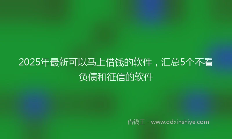 2025年最新可以马上借钱的软件，汇总5个不看负债和征信的软件