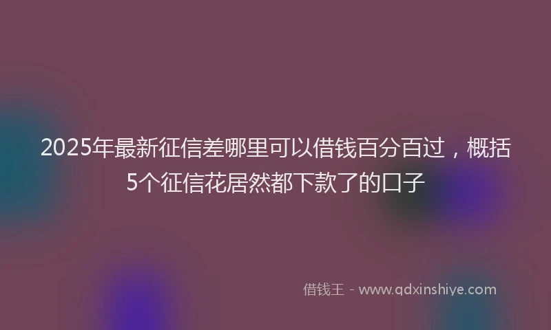 2025年最新征信差哪里可以借钱百分百过，概括5个征信花居然都下款了的口子