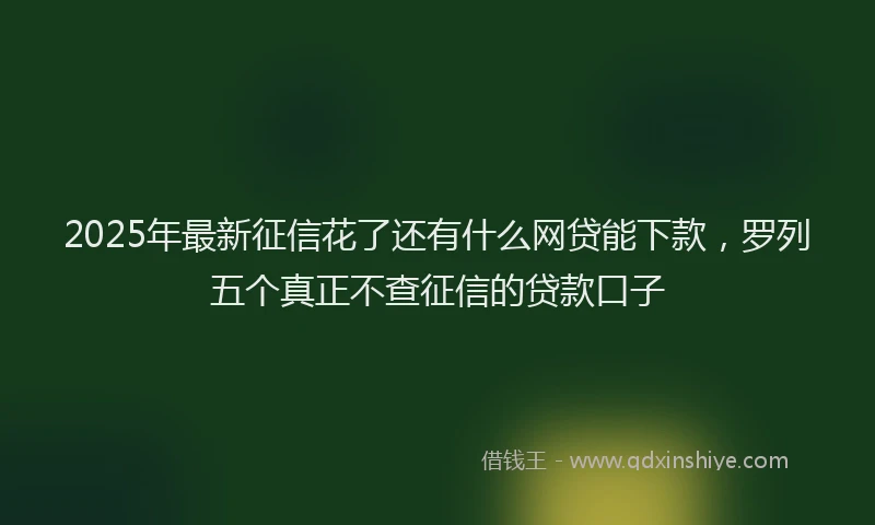 2025年最新征信花了还有什么网贷能下款，罗列五个真正不查征信的贷款口子