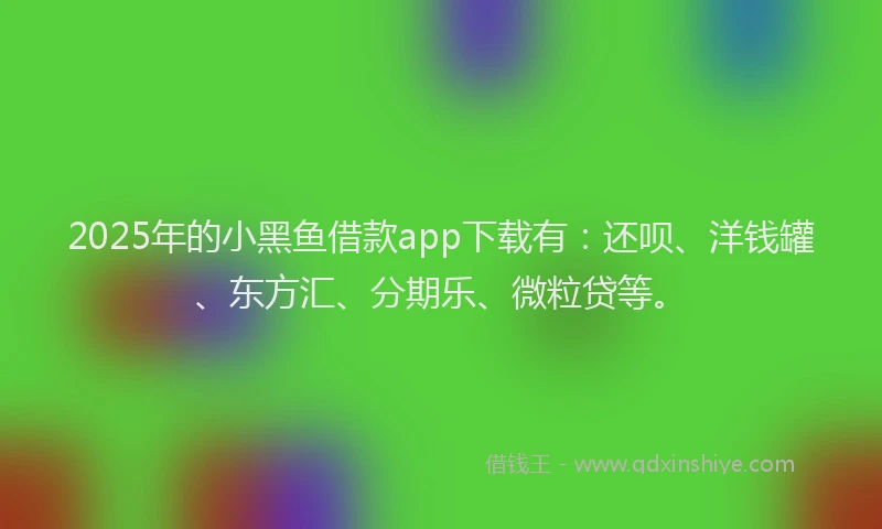 2025年的小黑鱼借款app下载有：还呗、洋钱罐、东方汇、分期乐、微粒贷等。