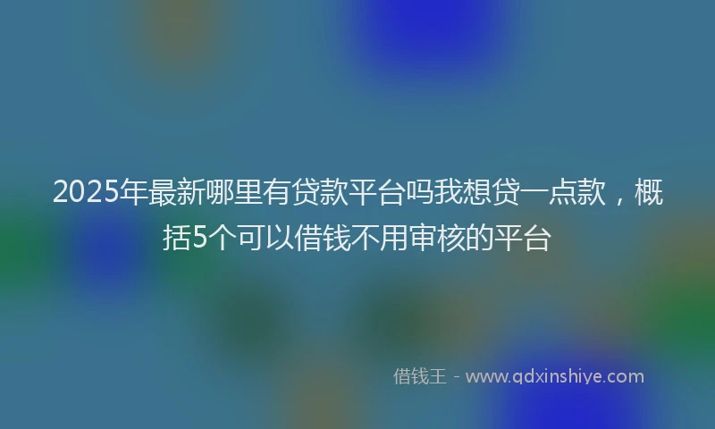 2025年最新哪里有贷款平台吗我想贷一点款，概括5个可以借钱不用审核的平台