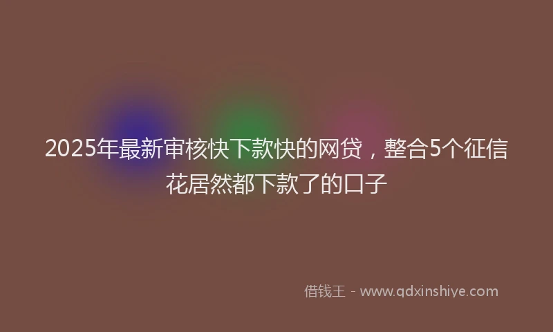2025年最新审核快下款快的网贷，整合5个征信花居然都下款了的口子