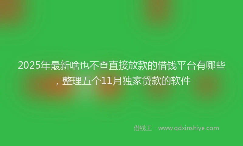 2025年最新啥也不查直接放款的借钱平台有哪些，整理五个11月独家贷款的软件