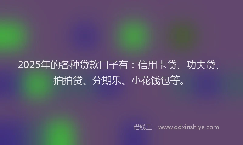 2025年的各种贷款口子有：信用卡贷、功夫贷、拍拍贷、分期乐、小花钱包等。