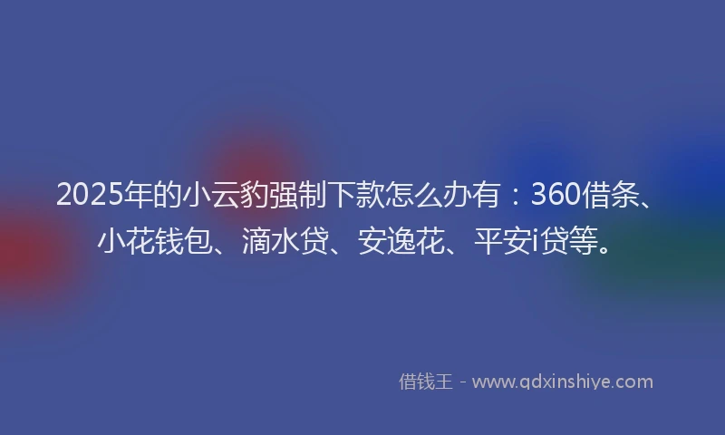 2025年的小云豹强制下款怎么办有：360借条、小花钱包、滴水贷、安逸花、平安i贷等。
