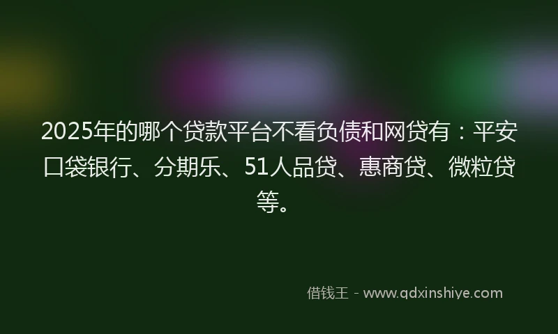 2025年的哪个贷款平台不看负债和网贷有：平安口袋银行、分期乐、51人品贷、惠商贷、微粒贷等。