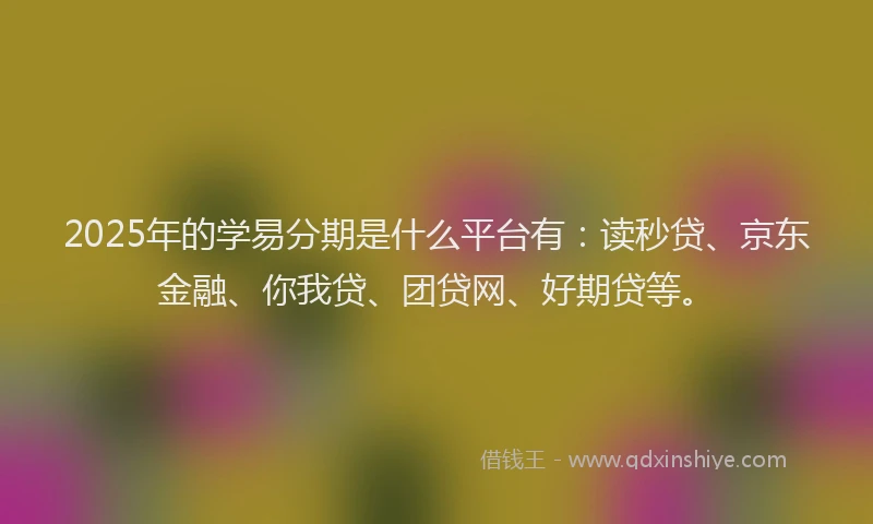 2025年的学易分期是什么平台有：读秒贷、京东金融、你我贷、团贷网、好期贷等。