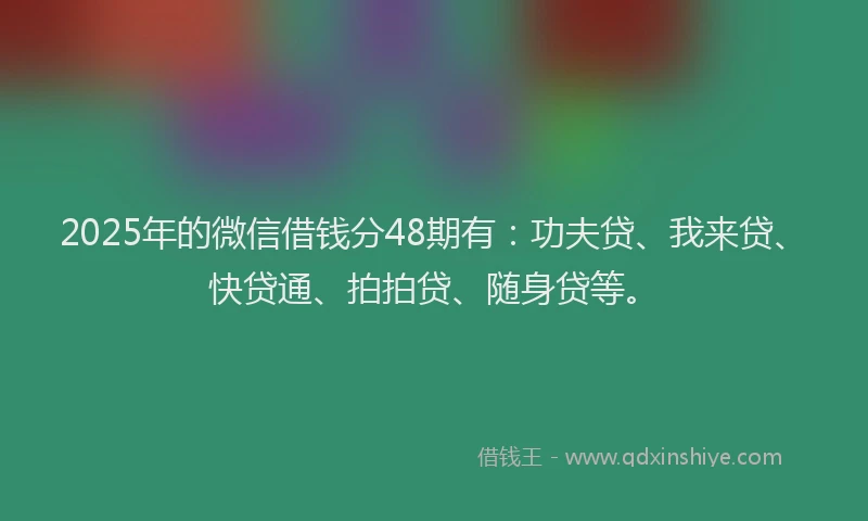 2025年的微信借钱分48期有：功夫贷、我来贷、快贷通、拍拍贷、随身贷等。