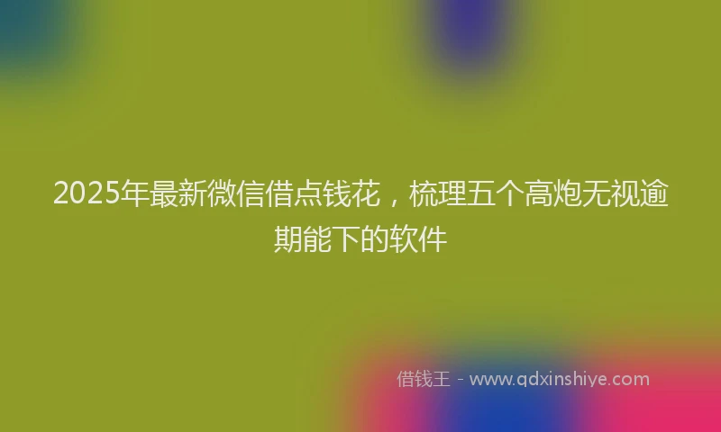 2025年最新微信借点钱花，梳理五个高炮无视逾期能下的软件