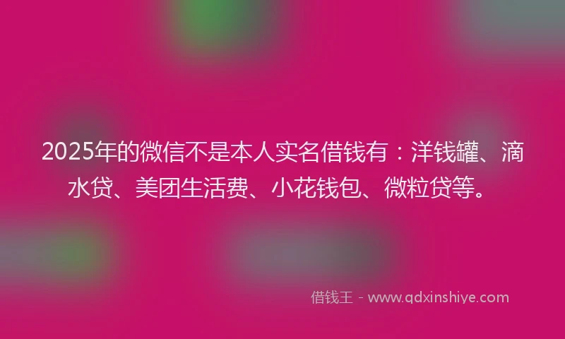 2025年的微信不是本人实名借钱有：洋钱罐、滴水贷、美团生活费、小花钱包、微粒贷等。