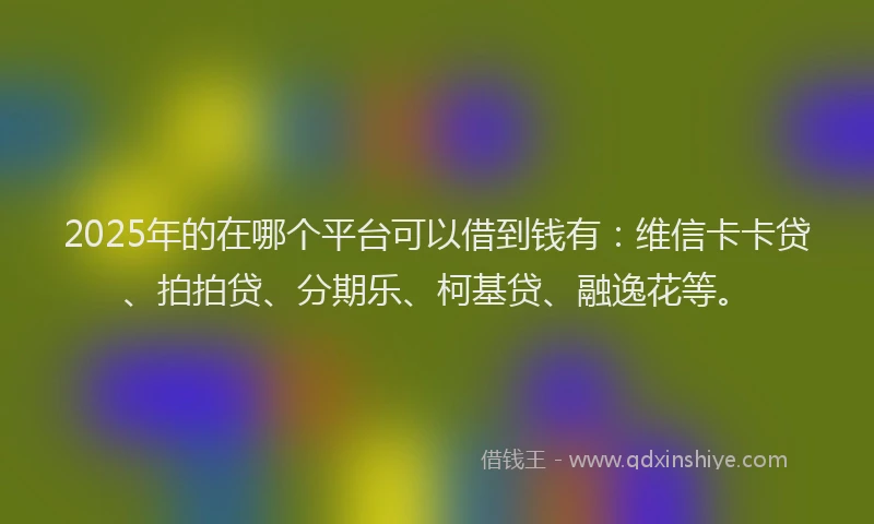 2025年的在哪个平台可以借到钱有：维信卡卡贷、拍拍贷、分期乐、柯基贷、融逸花等。