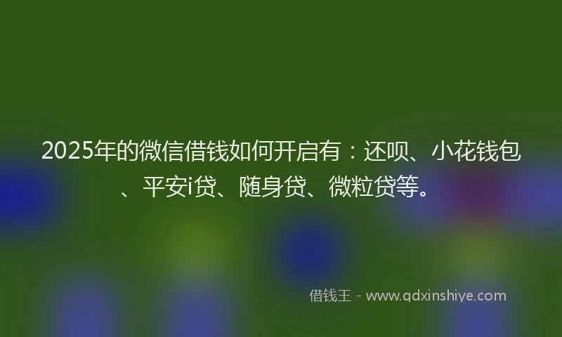 2025年的微信借钱如何开启有：还呗、小花钱包、平安i贷、随身贷、微粒贷等。