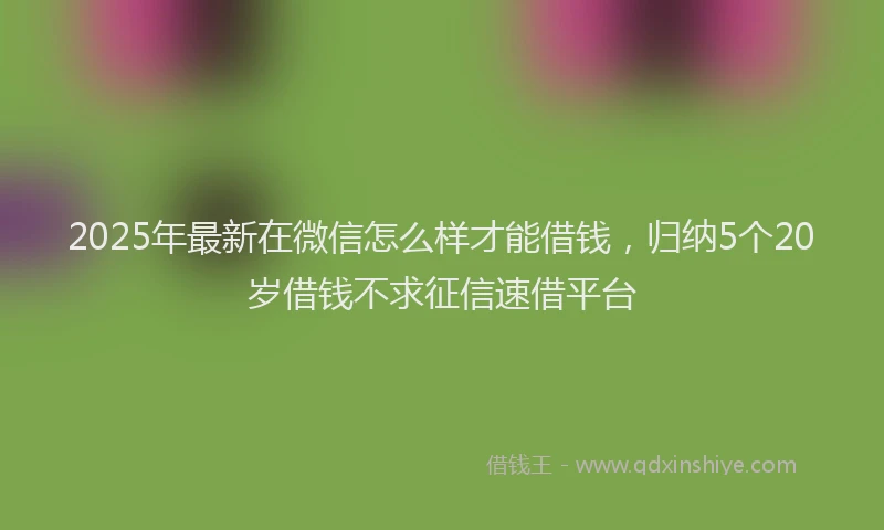 2025年最新在微信怎么样才能借钱，归纳5个20岁借钱不求征信速借平台