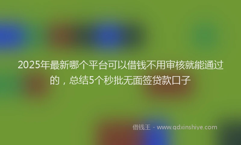 2025年最新哪个平台可以借钱不用审核就能通过的，总结5个秒批无面签贷款口子