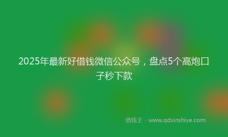 2025年最新好借钱微信公众号，盘点5个高炮口子秒下款