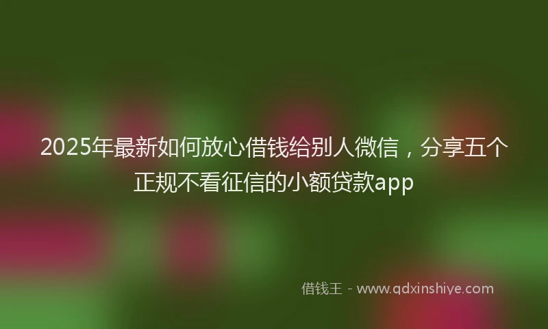 2025年最新如何放心借钱给别人微信，分享五个正规不看征信的小额贷款app