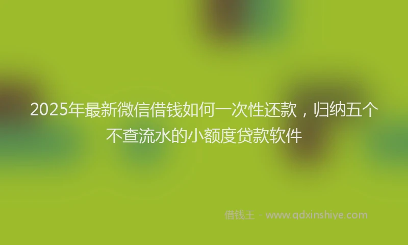2025年最新微信借钱如何一次性还款，归纳五个不查流水的小额度贷款软件