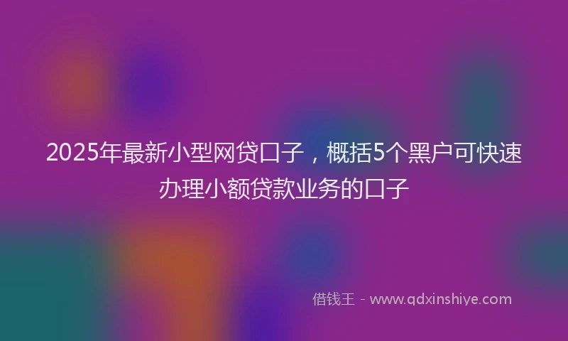 2025年最新小型网贷口子，概括5个黑户可快速办理小额贷款业务的口子