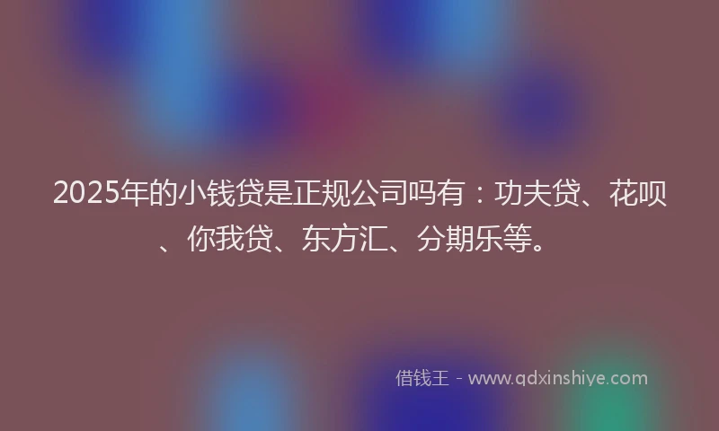 2025年的小钱贷是正规公司吗有：功夫贷、花呗、你我贷、东方汇、分期乐等。