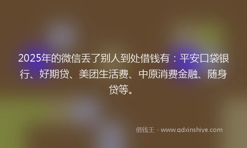 2025年的微信丢了别人到处借钱有：平安口袋银行、好期贷、美团生活费、中原消费金融、随身贷等。