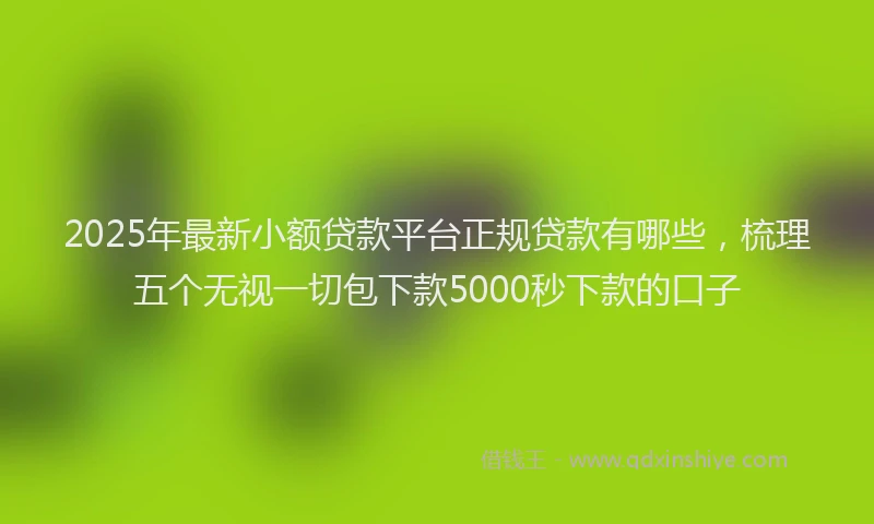 2025年最新小额贷款平台正规贷款有哪些，梳理五个无视一切包下款5000秒下款的口子