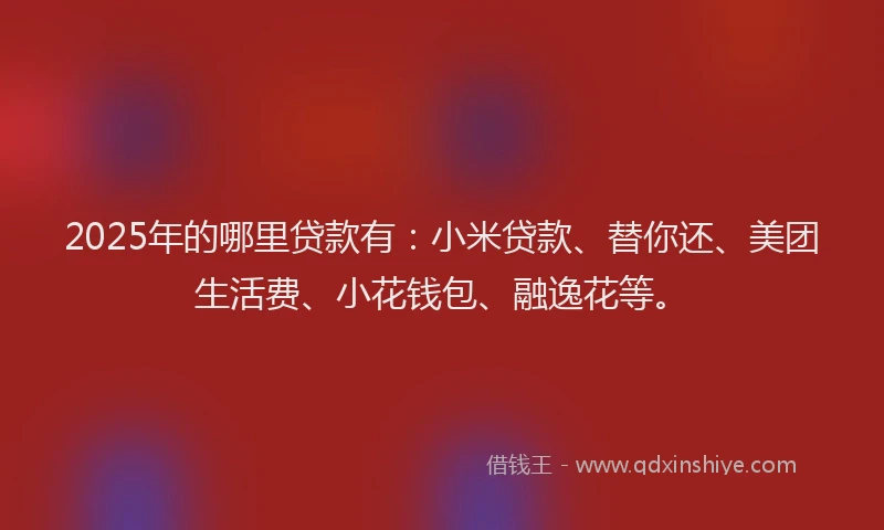 2025年的哪里贷款有：小米贷款、替你还、美团生活费、小花钱包、融逸花等。