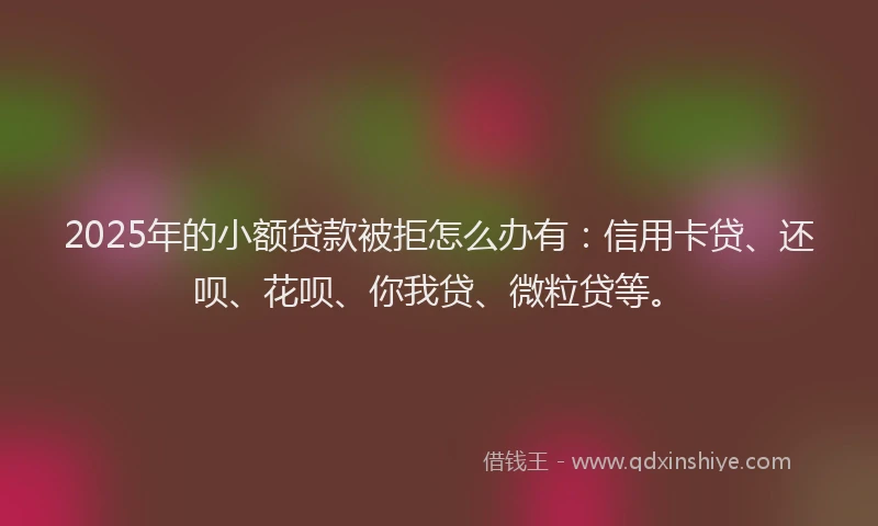 2025年的小额贷款被拒怎么办有：信用卡贷、还呗、花呗、你我贷、微粒贷等。