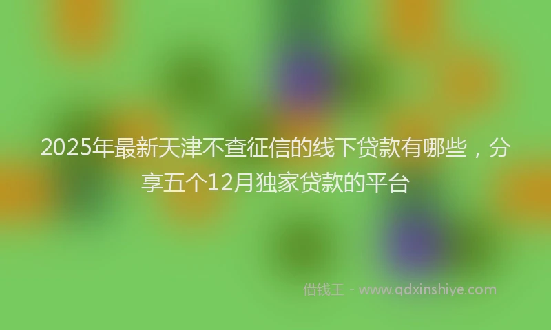 2025年最新天津不查征信的线下贷款有哪些，分享五个12月独家贷款的平台