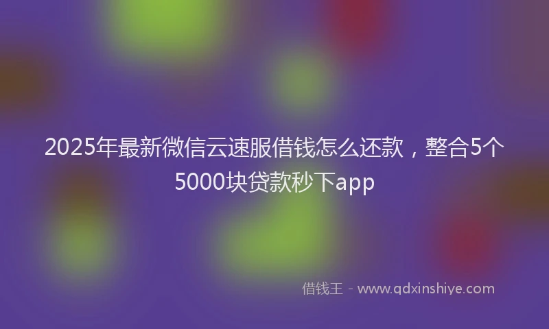 2025年最新微信云速服借钱怎么还款，整合5个5000块贷款秒下app