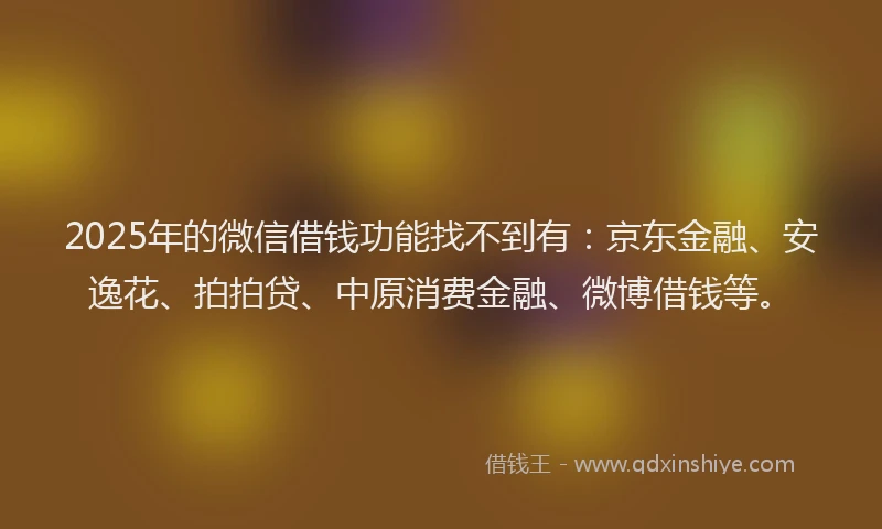 2025年的微信借钱功能找不到有：京东金融、安逸花、拍拍贷、中原消费金融、微博借钱等。