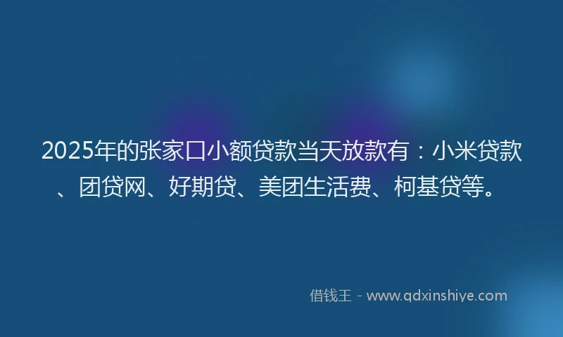 2025年的张家口小额贷款当天放款有：小米贷款、团贷网、好期贷、美团生活费、柯基贷等。