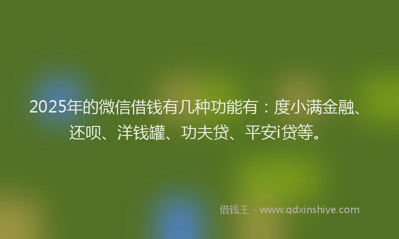 2025年的微信借钱有几种功能有：度小满金融、还呗、洋钱罐、功夫贷、平安i贷等。
