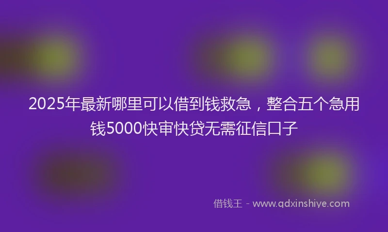 2025年最新哪里可以借到钱救急，整合五个急用钱5000快审快贷无需征信口子