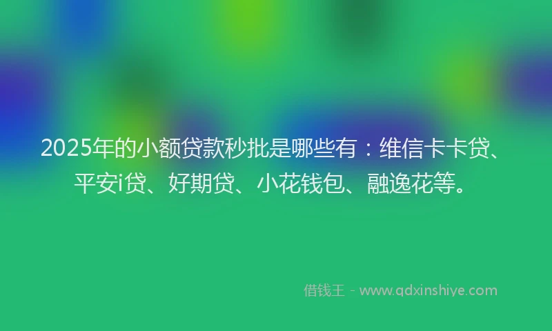 2025年的小额贷款秒批是哪些有：维信卡卡贷、平安i贷、好期贷、小花钱包、融逸花等。