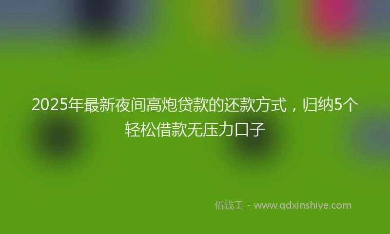 2025年最新夜间高炮贷款的还款方式，归纳5个轻松借款无压力口子