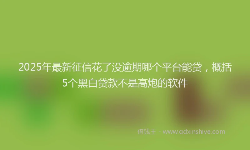 2025年最新征信花了没逾期哪个平台能贷，概括5个黑白贷款不是高炮的软件