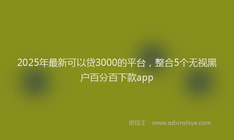 2025年最新可以贷3000的平台，整合5个无视黑户百分百下款app